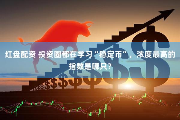红盘配资 投资圈都在学习“稳定币”，浓度最高的指数是哪只？