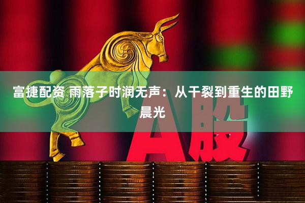 富捷配资 雨落子时润无声：从干裂到重生的田野晨光