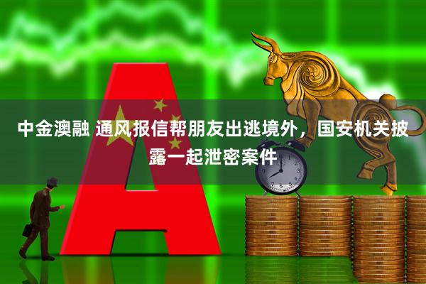 中金澳融 通风报信帮朋友出逃境外，国安机关披露一起泄密案件