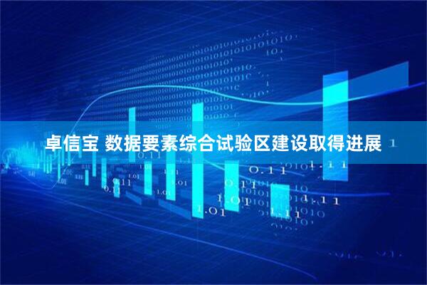 卓信宝 数据要素综合试验区建设取得进展