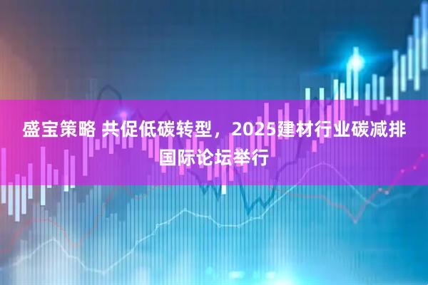 盛宝策略 共促低碳转型，2025建材行业碳减排国际论坛举行